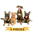 thumbnail image 2 of 4 Pieces Funny Dog Toy Lips. 1 Big Red Lip, 1 Pig Nose Teeth, 1 Dracula Teeth and 1 Teeth Ball Rubber for Pet Dog with Sound Squeaker Squeaky Toys for Small and Medium Dog, 2 of 5