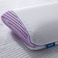thumbnail image 2 of Almohada Queen Size Memory Lucid Lavanda Malouf Lucid, 2 of 2