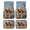 Beach Running Horse, variant on XYZCANDO Vintage Floral Giraffe Print Floor Mats Full Set for Car Front & Rear Non-Slip Car Carpet Automotive Decoration Vehicle Auto Carpets Rugs Universal Fit Most Car Sedan SUVs