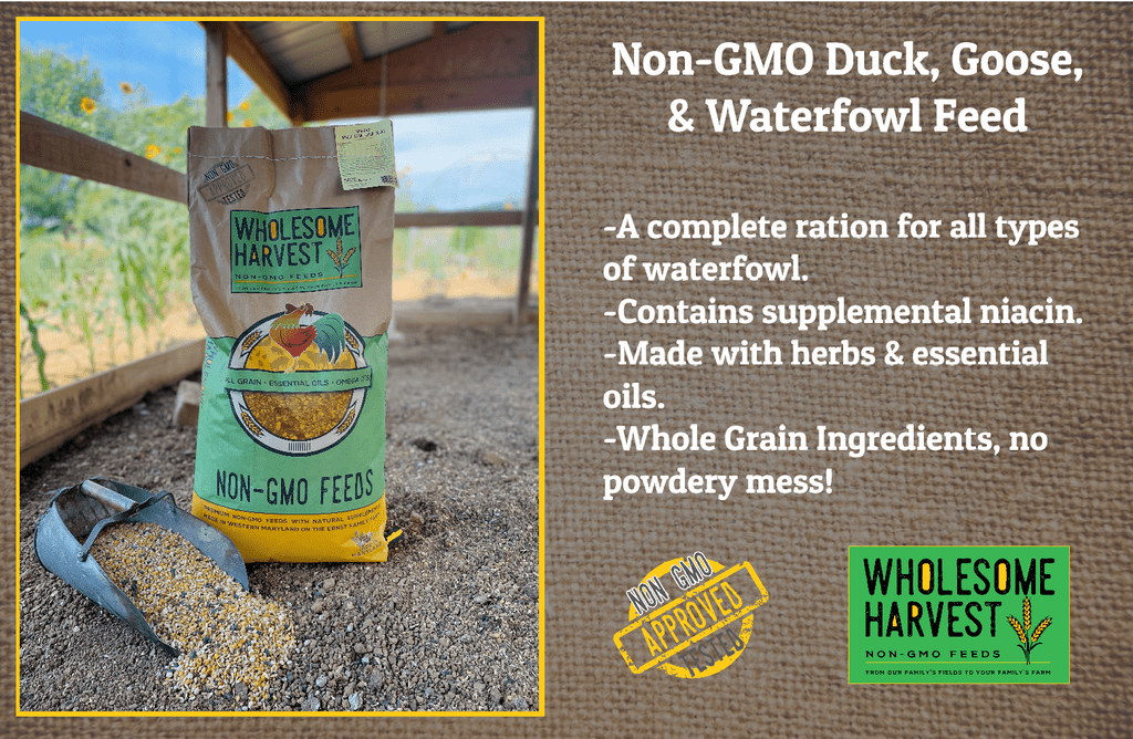 Wholesome Harvest Duck, Goose, Waterfowl Layer Feed 40 lb, High Protein Specially Formulated to Promote Egg Production and Healthy Flocks