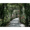 thumbnail image 2 of Lewis, Sheldon 24x20 Gold Ornate Wood Framed with Double Matting Museum Art Print Titled - Vintage Garden, 2 of 4