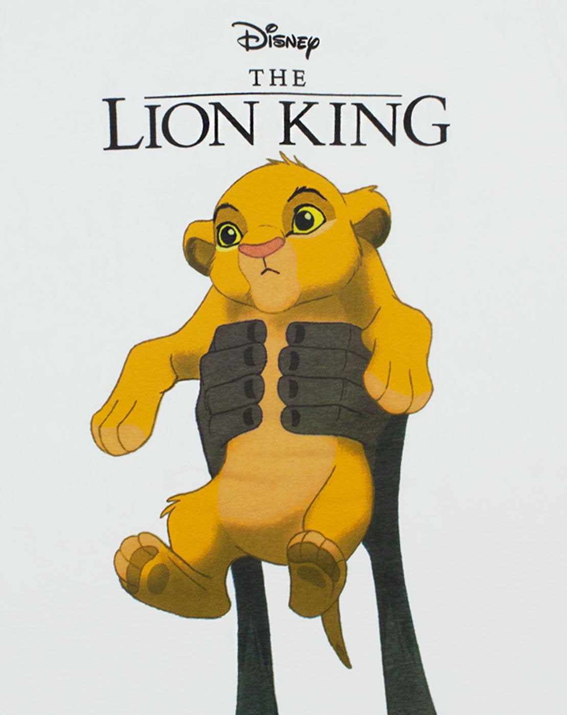 simba circle of life simba circle of life