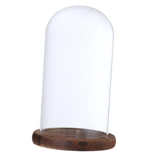 2xglass Cloche con Soporte de Paisaje de perfecl Cúpula transparente con base de madera