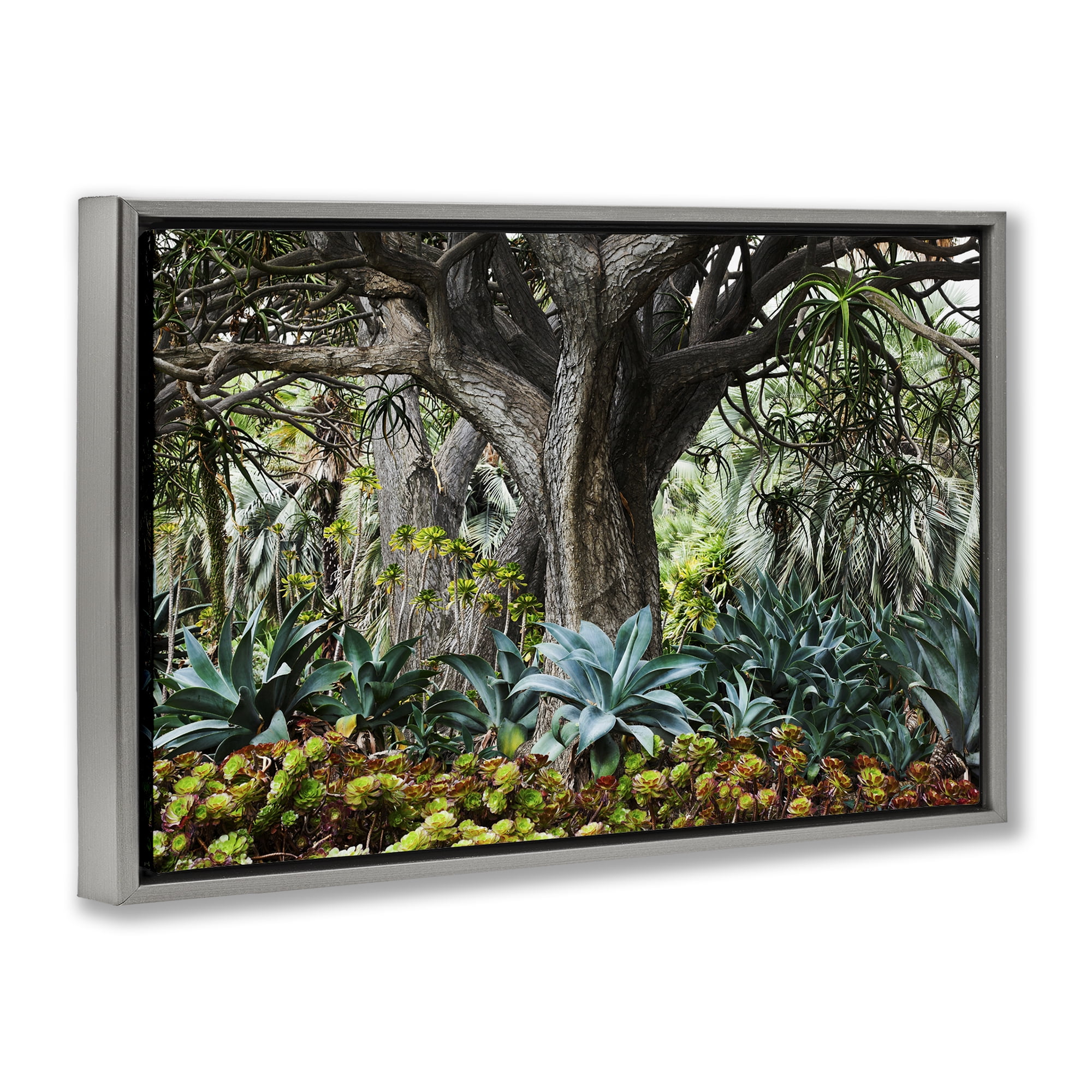 Stupell Industries Lush Tropical Vegetation Landscape & Nature Photography Gray Floater Framed Canvas Art Print Wall Art, 31 x 21