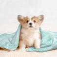 thumbnail image 4 of Disketp Blue Bright Dog Blanket/Bed Cover for Dogs and Cats,Puppy Essentials-Small, 4 of 8