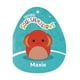 thumbnail image 5 of Peluche Squishmallows Original Maxie, el lagarto rojo con volantes, 5 of 7
