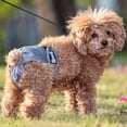thumbnail image 2 of Washable Wrap Diapers for Female Dogs Reusable Female Dog Diaper Breathable Female Dog Wraps, Pack of 3, 2 of 5