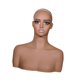 thumbnail image 2 of Cabeza maniquí femenina realista con hombros, soporte multiusos para pelucas, joyas y postizos para hombres., 2 of 9