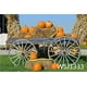 thumbnail image 1 of ABPHQTO 150x220cm linterna de paja y calabaza fondo de fotografía de Halloween Fondo de estudio accesorios de estudio, 1 of 1