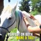 thumbnail image 2 of Kit de tinte temporal para peinado con tiza de pelo de caballo no tóxico de 6/12/24/36 colores, 2 of 5