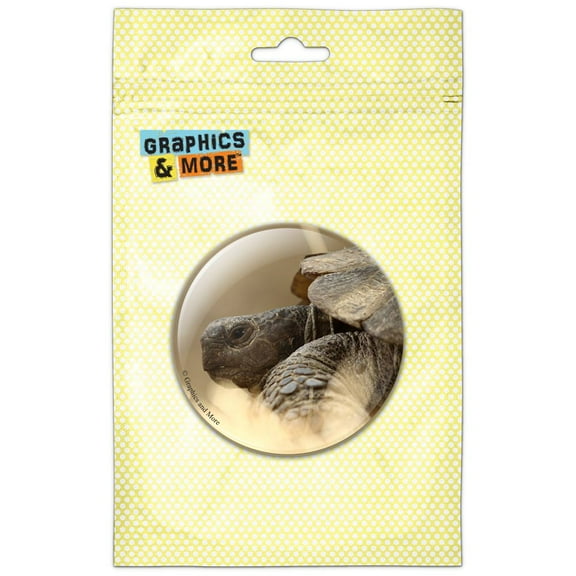 Giant Tortoise Turtle Side Pinback Button Pin Badge