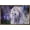 Bronze Framed Version, variant on Laurie Prindle - Moonlight Serenade Wall Poster, 22.375" x 34"