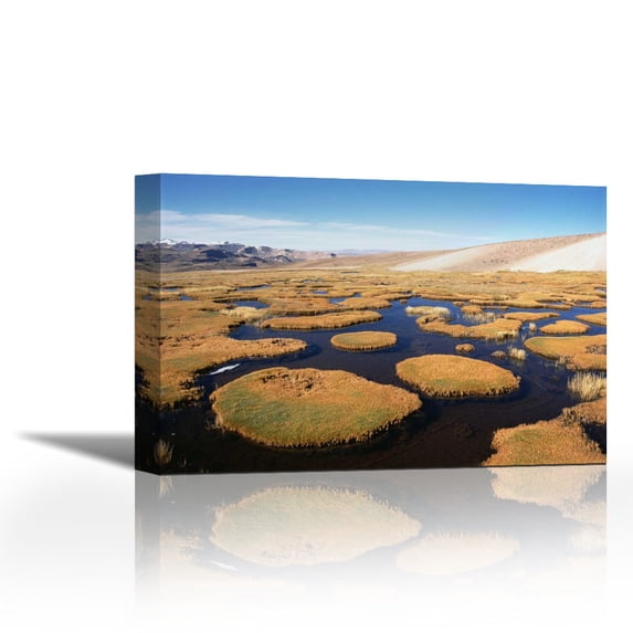 Andean bofedal near source of Amazon River, Mismi Mountain, Peru - Contemporary Fine Art Giclee on Canvas Gallery Wrap - wall décor - Art painting - 30 x 20 Inch - Ready to Hang