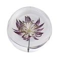 thumbnail image 4 of relayinert Portable Crystal Ball With Flower Travel Companion For Serenity Gift Resin Astrantia 8cm 5Set, 4 of 6