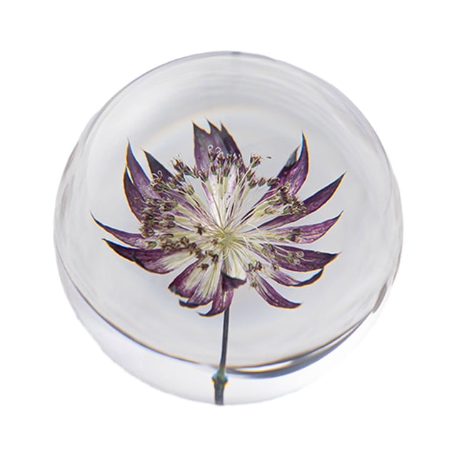 Maytalsory Exquisite Flower Crystal Ball Unlocking Inner Creativity Unique Astrantia 8cm 1Set
