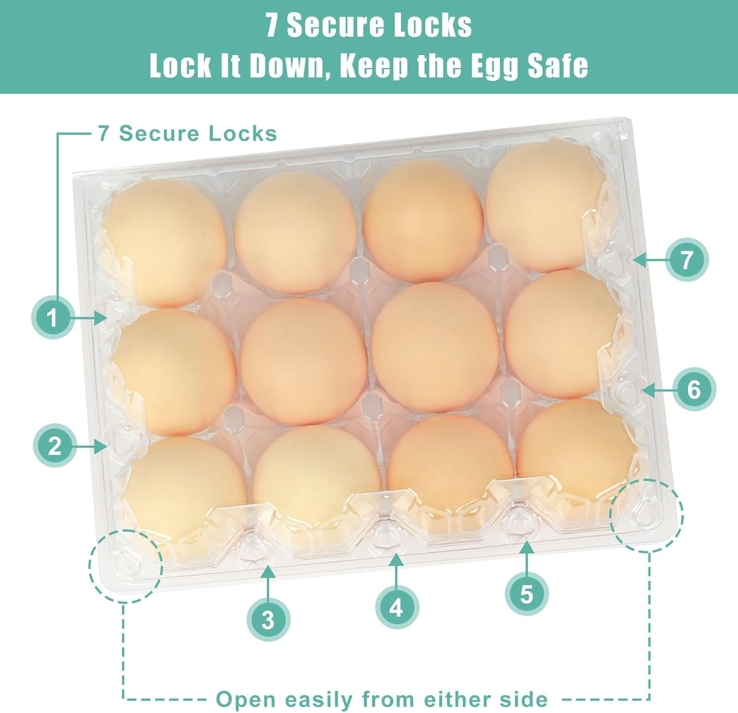 50 Pack Clear Plastic Egg Cartons, 12-Count 3×4 Grid Egg Containers for Family, Farm, Market Display and Storage (Large)