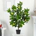 thumbnail image 2 of Nearly Natural 5581 Arbre Artificiel Citron 3 Pieds, 2 of 4
