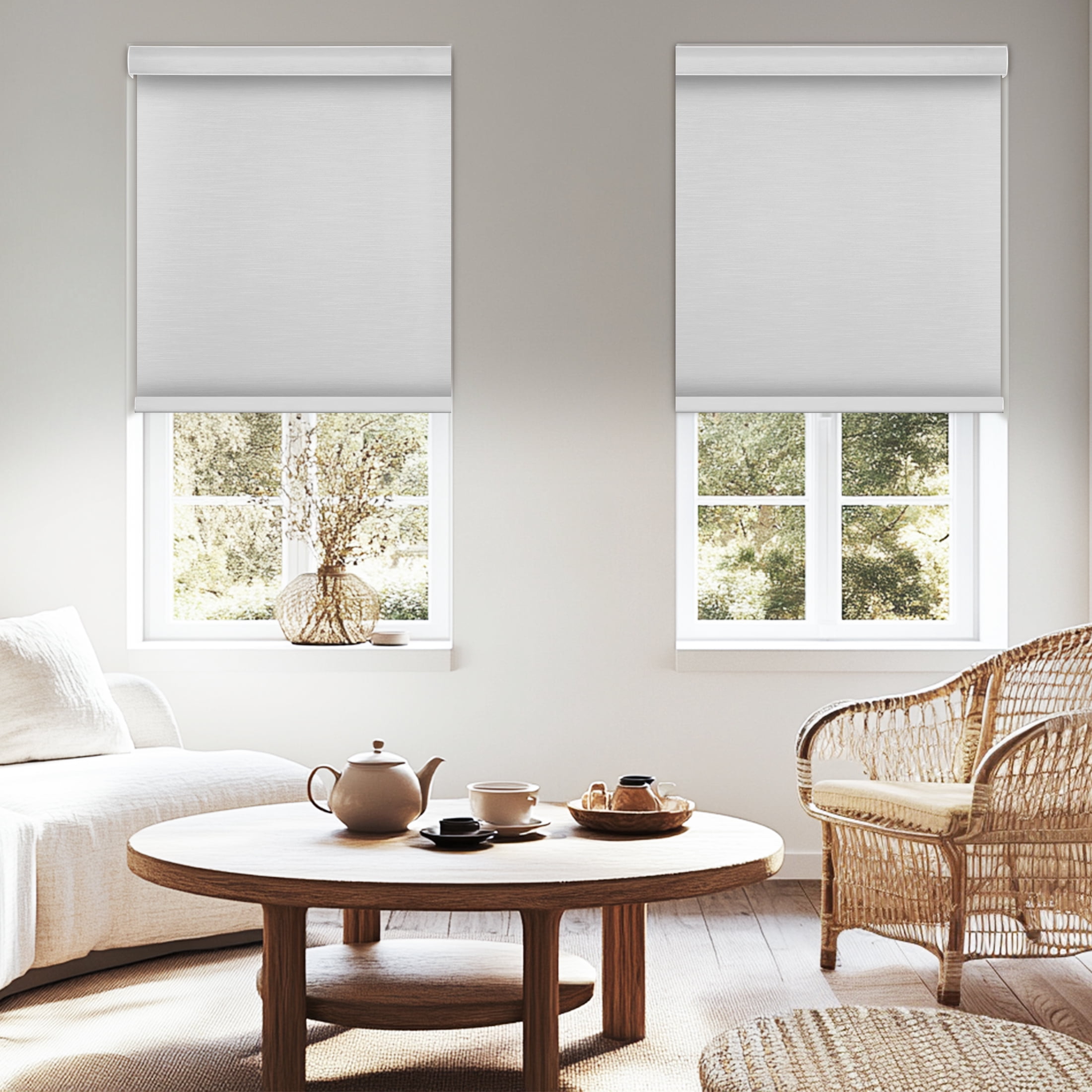 Blackout Roller Shades for Windows,Cordless,Roller Blinds for Windows,Thermal Insulated Fabric Window Blinds for Home,Office,Bedroom,Door, Pure White, 27"W x 72"H