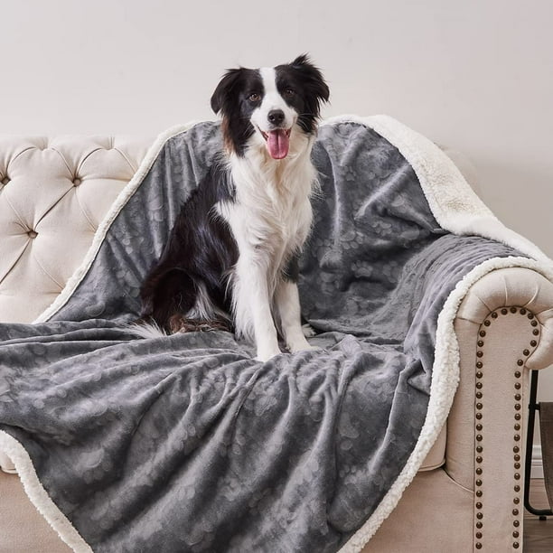 Manta para Mascotas Qeils Impermeable para Perros Grandes 150x200 cm Gris Oscuro