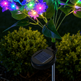 thumbnail image 6 of Rirool Solar Salvia Flower Lights Outdoor 2 Pack, Purple LED Garden Lights with 2 Lighting Modes, IP65 Waterproof Solar Garden Stake Lights Auto On/Off for Yard Patio Pathway Decoration, 6 of 8