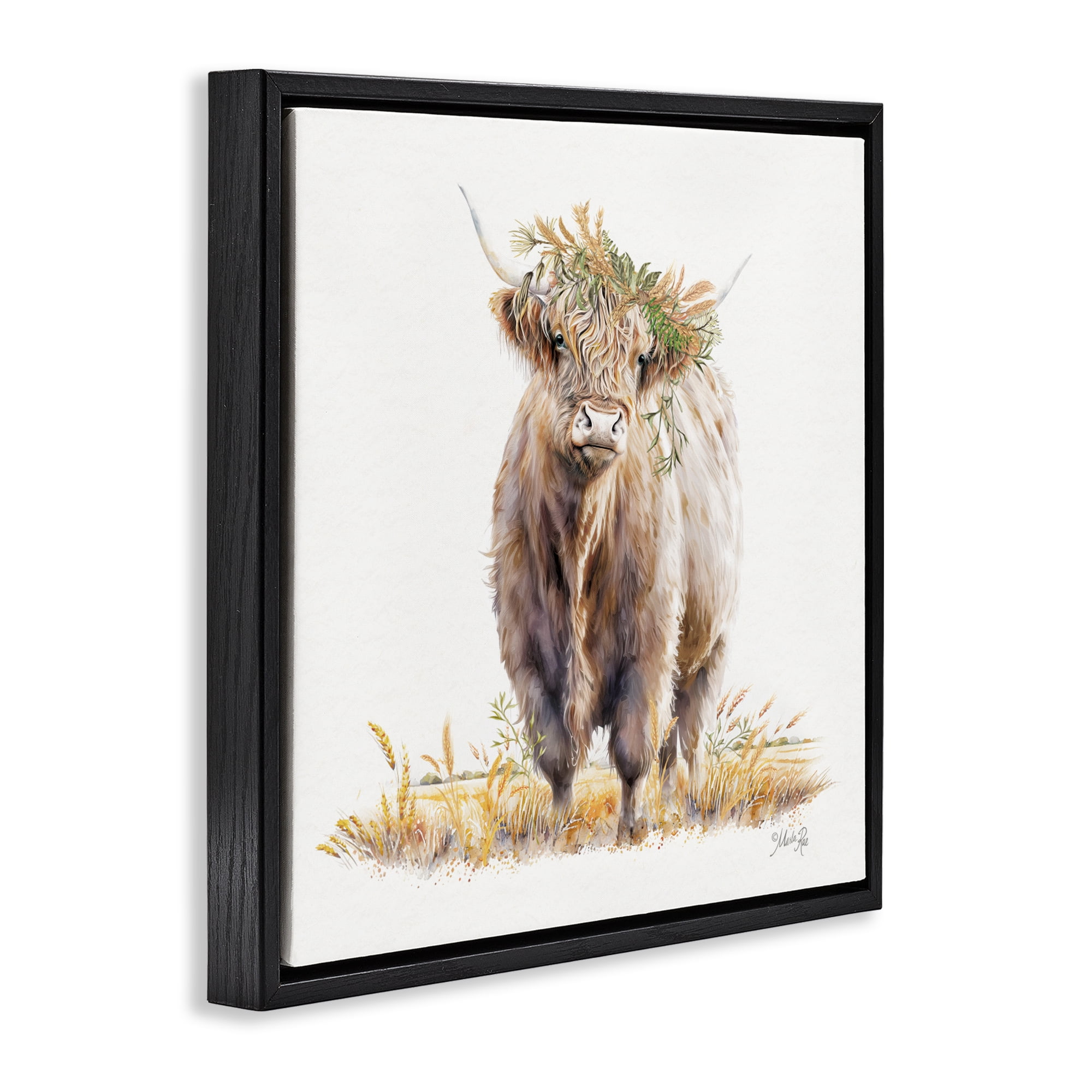 Stupell Industries Ollie the Highland Cattle Black Framed Floater Canvas Wall Art, design by Marla Rae