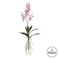thumbnail image 3 of Vickerman 30" Artificial Mini Purple Orchid. Includes 3 sprays per pack., 3 of 3