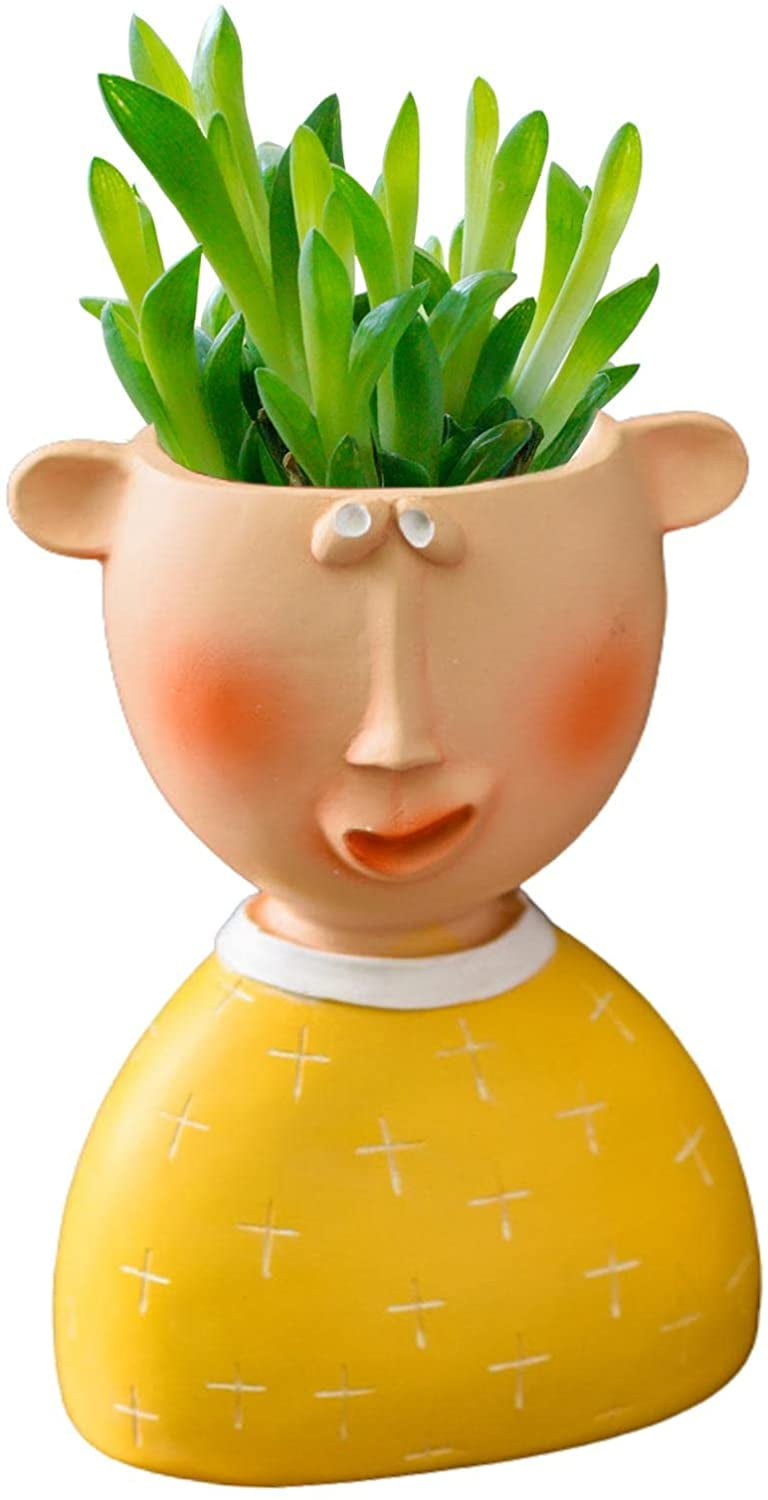 dosili Face Flower Pot Head Planter Pot Succulent Planter Vase Cactus