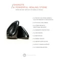 thumbnail image 4 of Shungite Pet Charm, 4 of 5