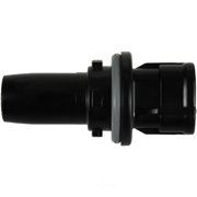 WVE 1P2441 Parking Light Bulb Socket