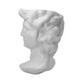 thumbnail image 5 of Maceta Grande Cabeza Griega David De Cerámica Esmaltada, 5 of 5