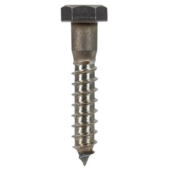 832066 0.375 x 2 in. Hex Head Lag Bolt Stainless Steel