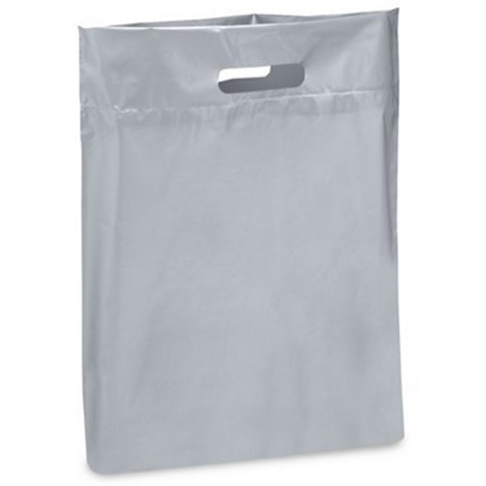 9" x 12" Patch Handle Bags (100 Bags/Pk)
