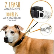 Martingale Collar, Training Dog Collar, Limited Cinch Chain Pet Gear for No Pull Dog Walking