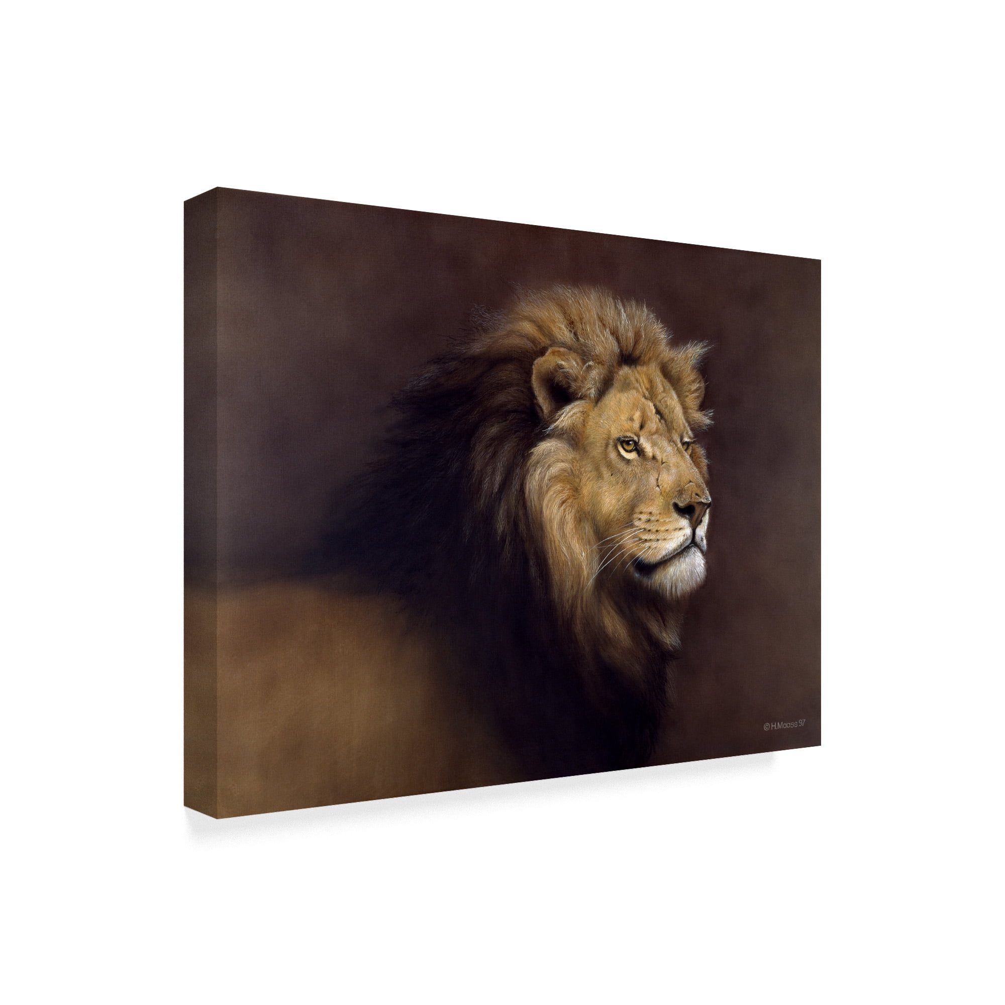 Trademark Fine Art 'Lion Male' Canvas Art by Harro Maass