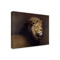 thumbnail image 2 of Trademark Fine Art 'Lion Male' Canvas Art by Harro Maass, 2 of 3