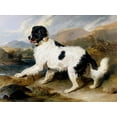 thumbnail image 2 of Landseer, Sir Edwin Henry 32x25 White Modern Wood Framed Museum Art Print Titled - A Newfoundland Dog, 2 of 4