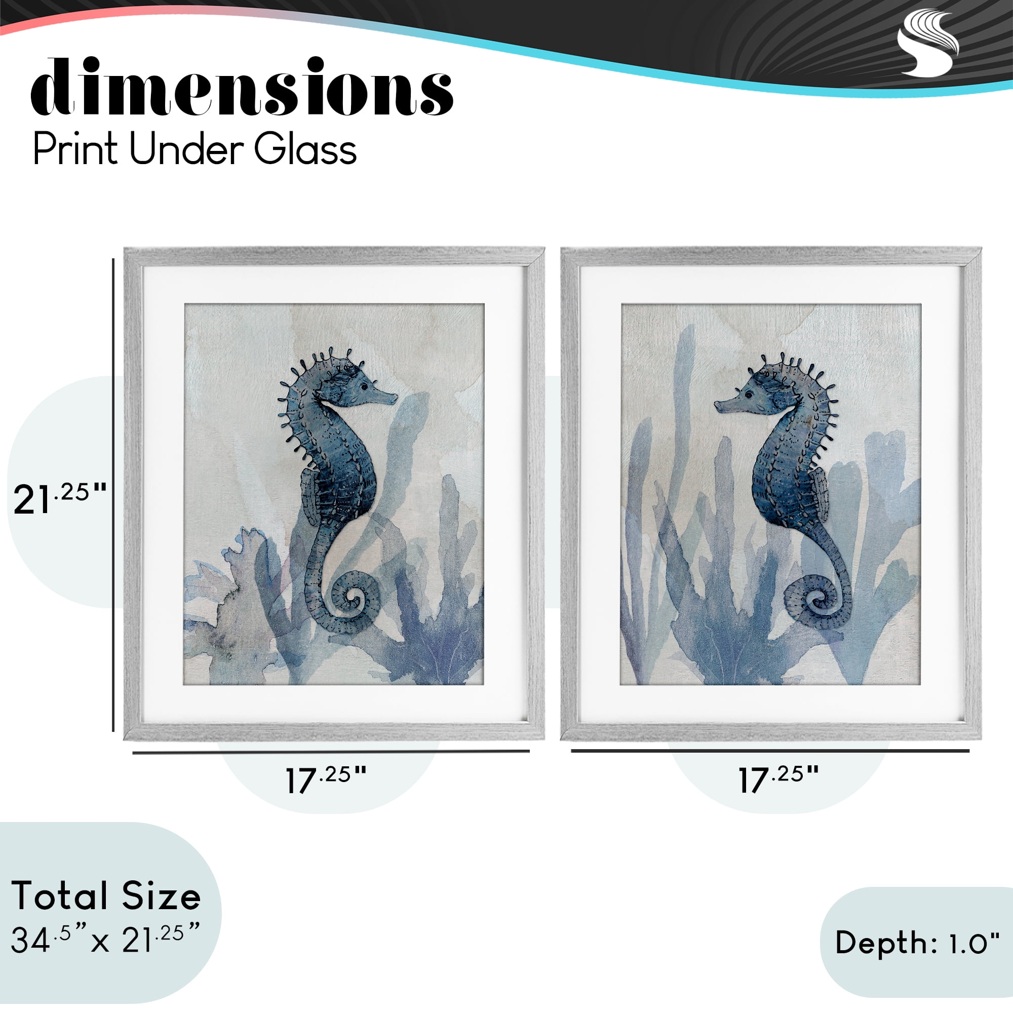 Stupell Industries Impressions of Seahorses 2 Piece Gray Framed Print Under Glass Set, design by Susan Jill