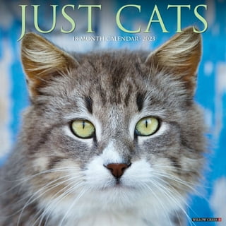 Cat Wall Calendars in Wall Calendars - Walmart.com