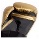 thumbnail image 2 of Guante Box Everlast Elite Pro Style 16 Oz, 2 of 6