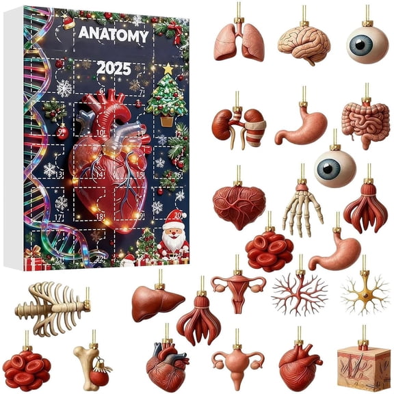 Anatomy Advent Calendar 2026 - 24 Days Human Organs Ornaments Set, Science Christmas Tree Decorations with Acrylic Pendant Figures for Holiday Countdown(Q)
