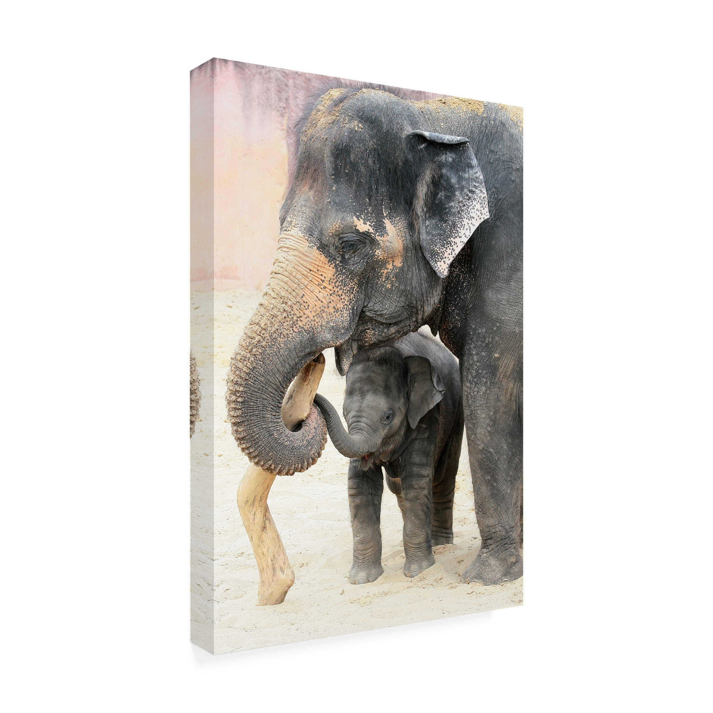 Antje Wenner-Braun 'Two' Canvas Art