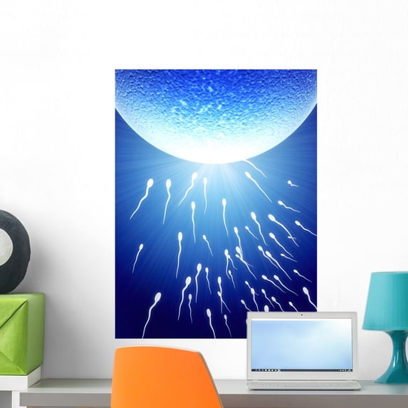 Spermatozoons Floating to Ovule Wall Mural by Wallmonkeys Peel and Stick Graphic (24 in H x 18 in W) WM126046