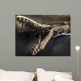 thumbnail image 1 of Fossil Wall Mural by Wallmonkeys Peel and Stick Graphic (36 in W x 27 in H) WM222503, 1 of 4