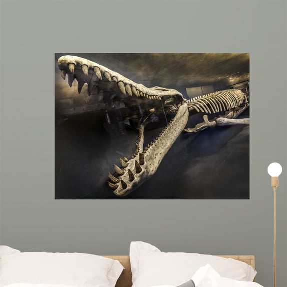 Fossil Wall Mural by Wallmonkeys Peel and Stick Graphic (36 in W x 27 in H) WM222503