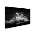 thumbnail image 2 of C S Tjandra 'Bath' Canvas Art, 2 of 3