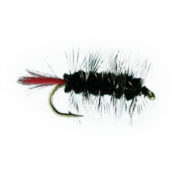 Jackson Cardinal Flies Black Wooly Worm