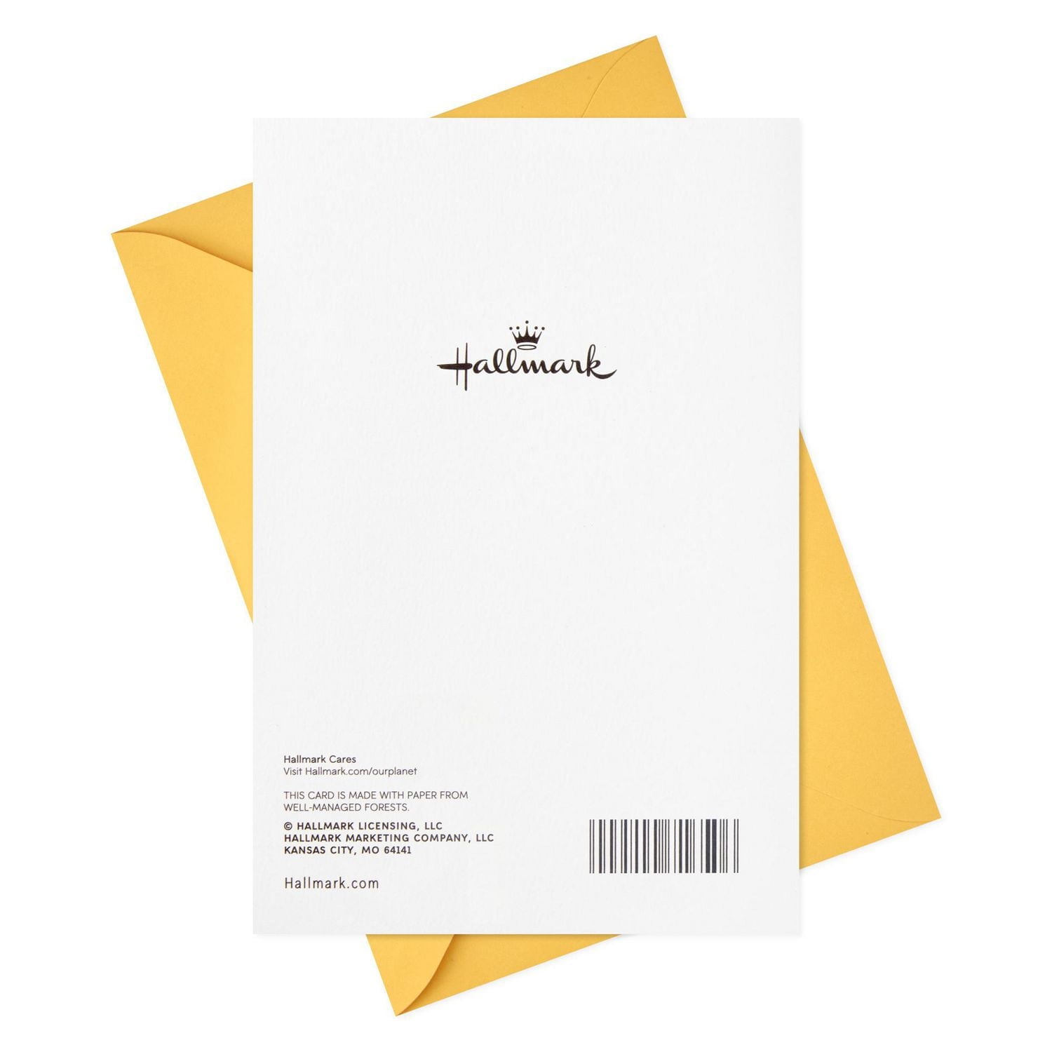 Hallmark Birthday Card, Bright Wishes