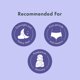 thumbnail image 3 of Ropa interior desechable Rael para mujer, funda de algod&#2013265923n org&#2013265921nico, compresas para la incontinencia, esenciales para el posparto, sin perfume, m&#2013265921xim, 3 of 9