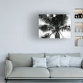 thumbnail image 2 of Trademark Fine Art 'Palm Tree Looking Up III' Canvas Art by Debra Van Swearingen, 2 of 4