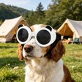 thumbnail image 7 of Goggles For Small Breed Wind/ Puppy With Adjustable Strap White Black Dog Swimsuit Dog Swimsuit Boy Dog Swim Suite Dog Jacket Dog Hiking Gear Water Bunny Hat for Cat And Owner Fan for Car Window for, 7 of 7